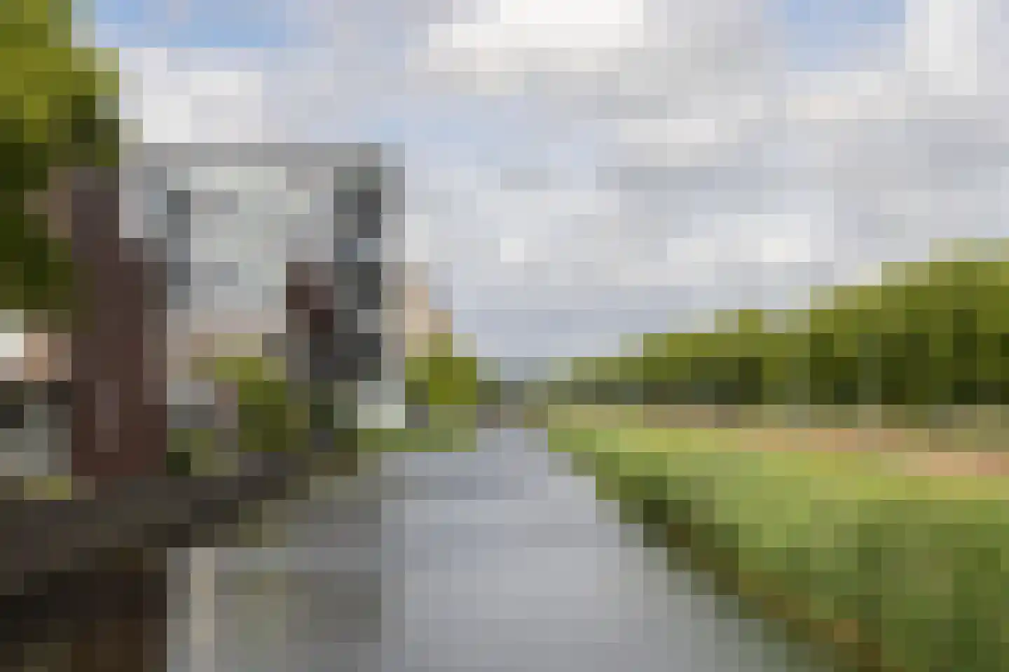 De Slufter 58 Hoofddorp thumbnail 36