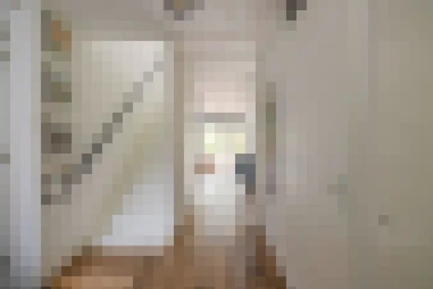 De Slufter 58 Hoofddorp thumbnail 5