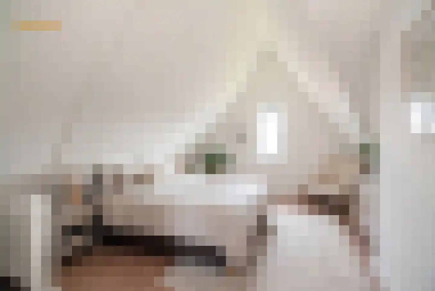 De Sluis 13 Anna Paulowna thumbnail 25