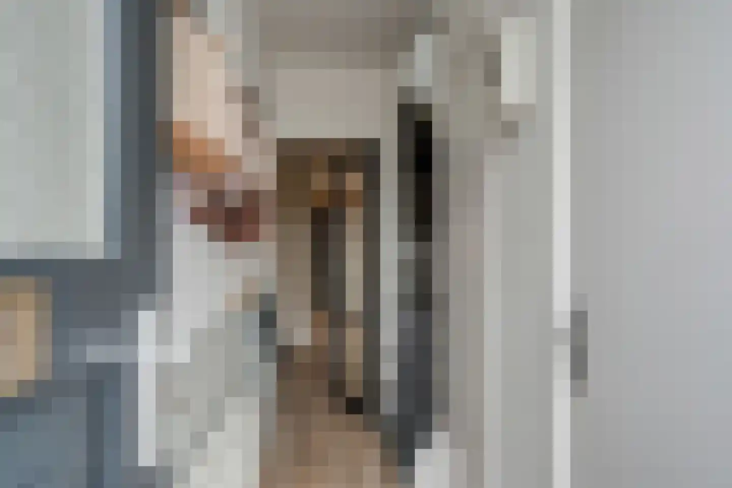 De Sluis 31 Leek thumbnail 16