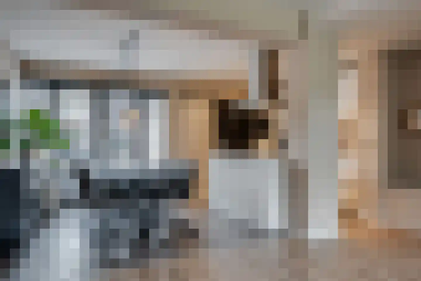 De Sluis 31 Leek thumbnail 23