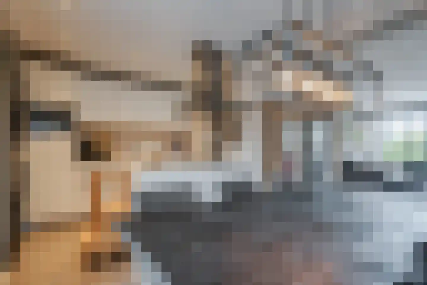 De Sluis 31 Leek thumbnail 24
