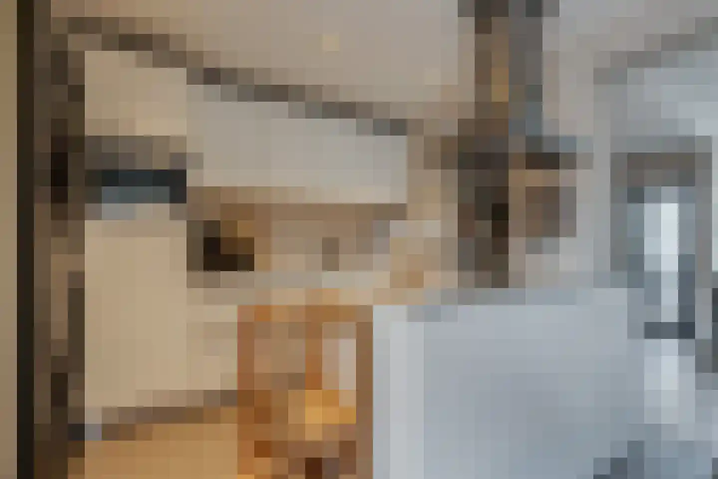 De Sluis 31 Leek thumbnail 25