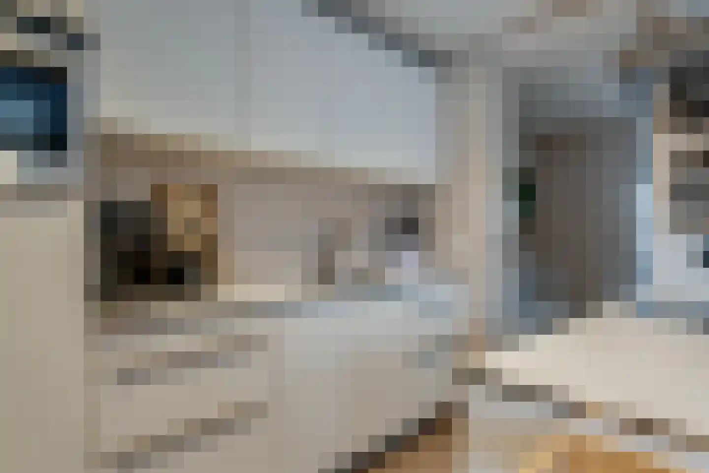 De Sluis 31 Leek thumbnail 26
