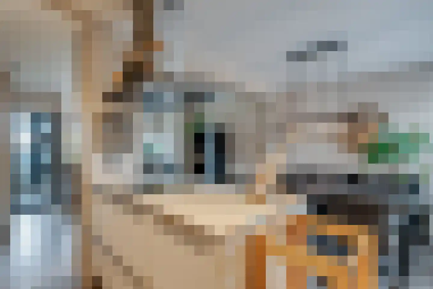 De Sluis 31 Leek thumbnail 27