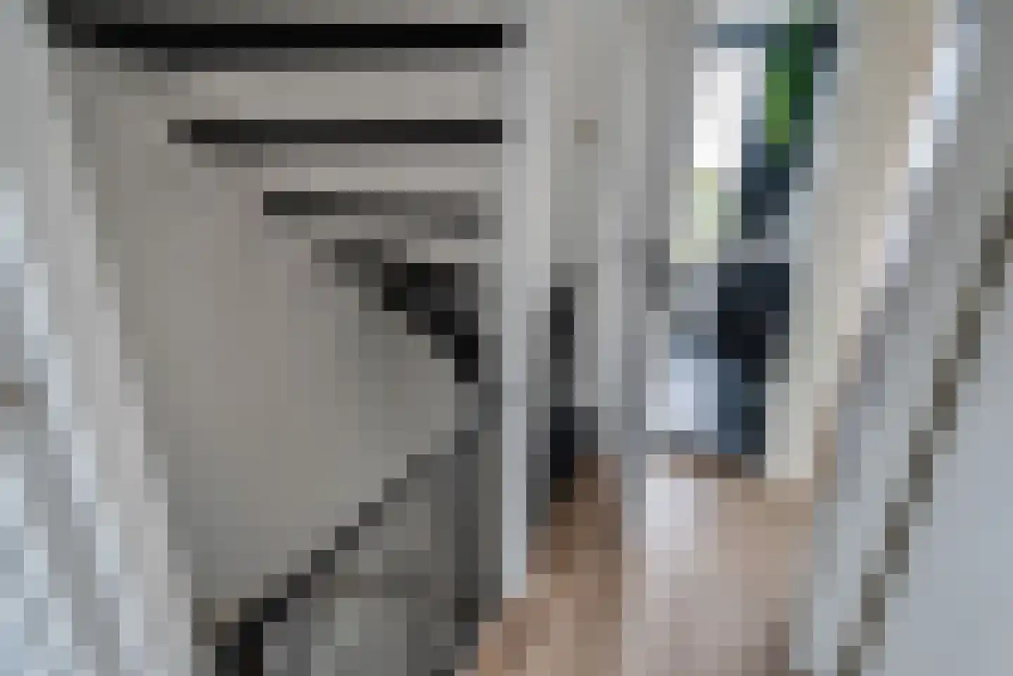 De Sluis 31 Leek thumbnail 31