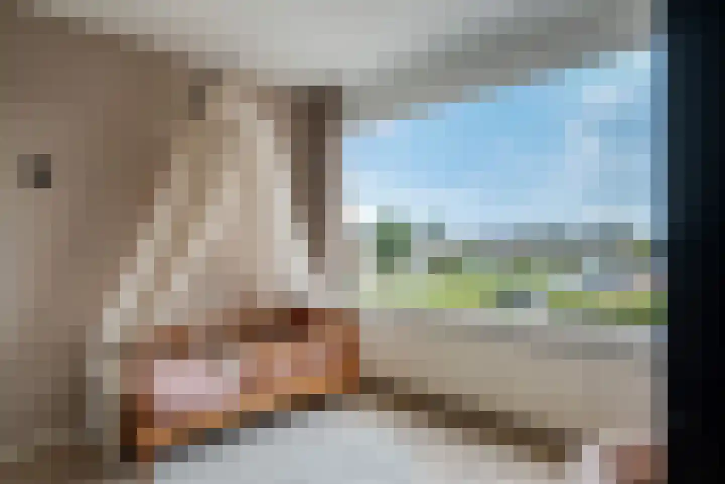 De Sluis 31 Leek thumbnail 33
