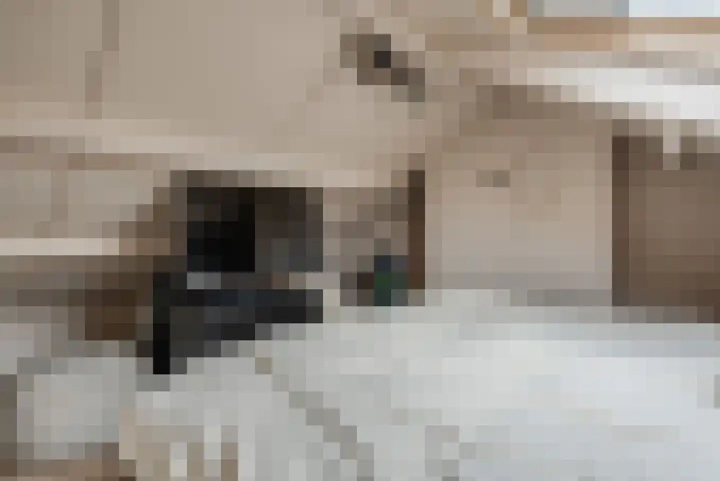 De Sluis 31 Leek thumbnail 41