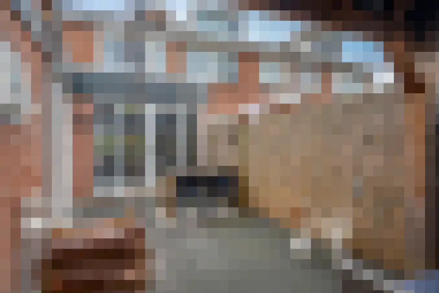 De Sluis 31 Leek thumbnail 46