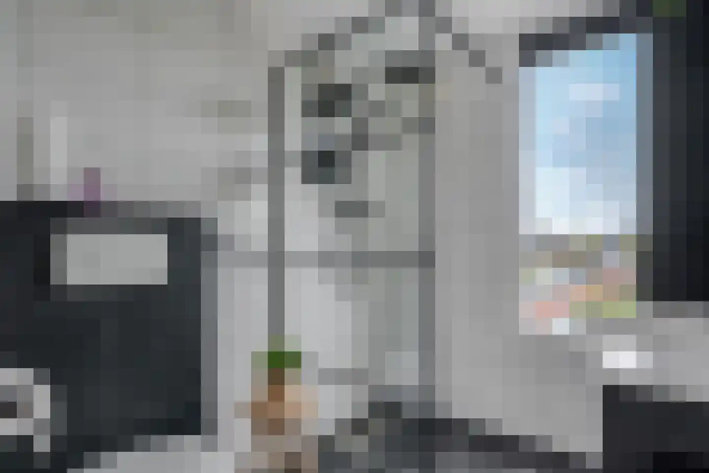De Sluis 31 Leek thumbnail 7