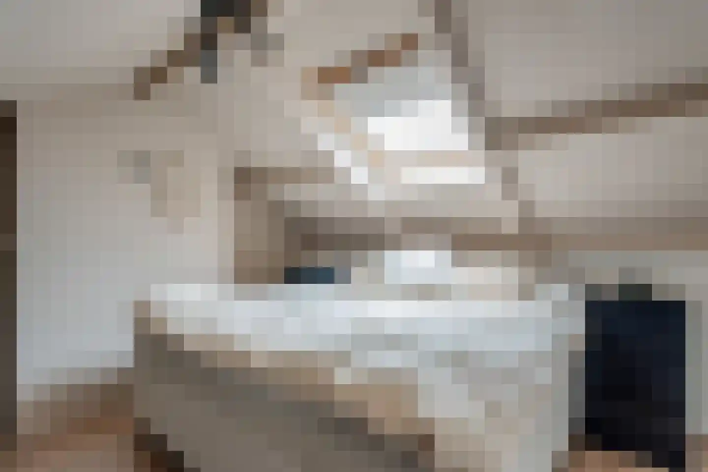 De Sluis 31 Leek thumbnail 8