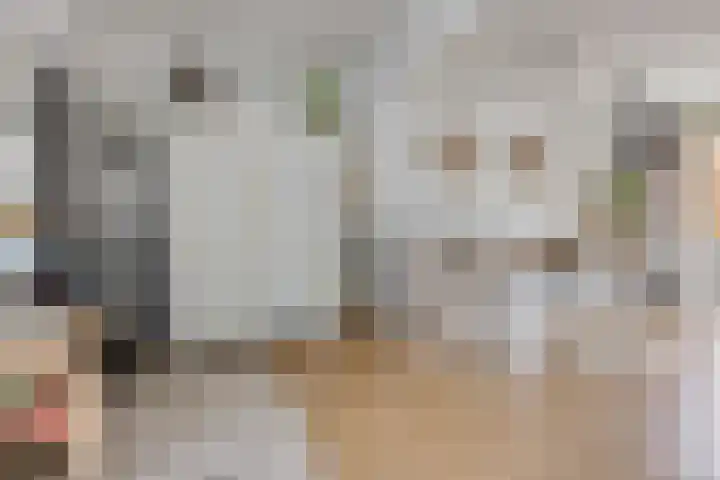 De Sluis 41 Leek thumbnail 12
