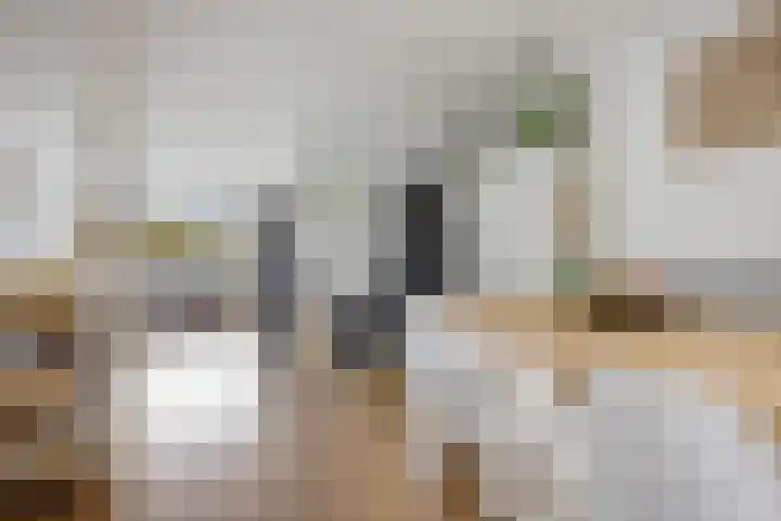 De Sluis 41 Leek thumbnail 15
