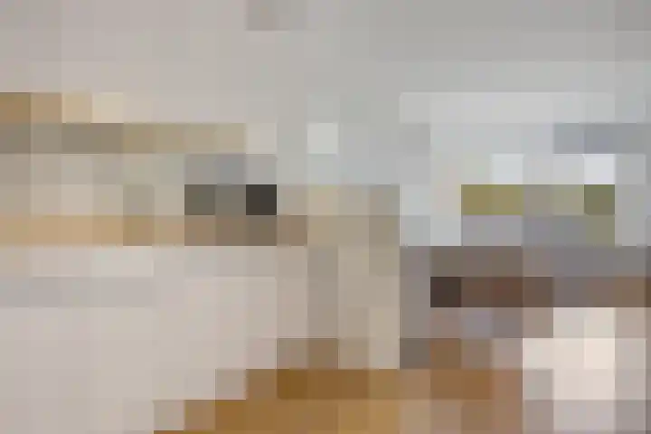 De Sluis 41 Leek thumbnail 16