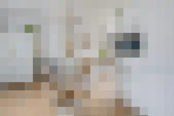 De Sluis 41 Leek thumbnail 17
