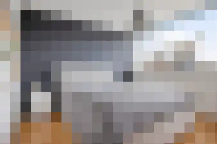 De Sluis 41 Leek thumbnail 20