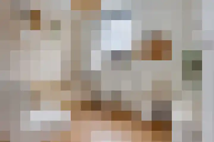 De Sluis 41 Leek thumbnail 21