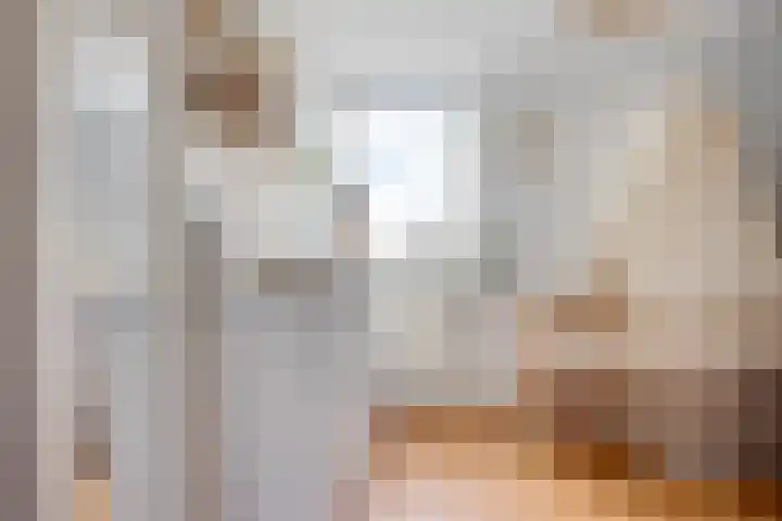 De Sluis 41 Leek thumbnail 24