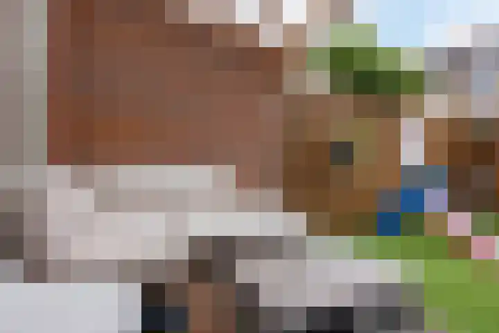 De Sluis 41 Leek thumbnail 31