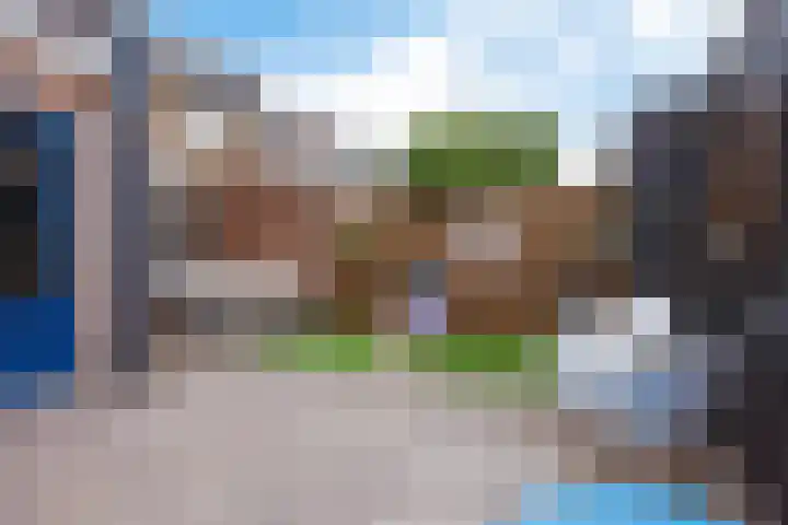 De Sluis 41 Leek thumbnail 34