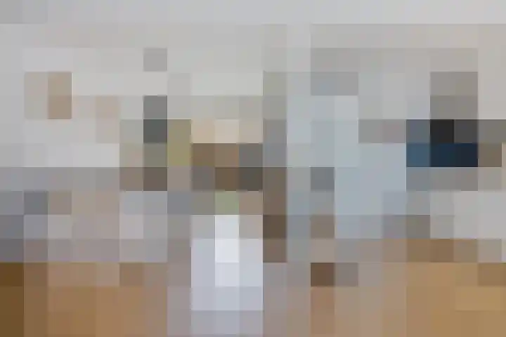 De Sluis 41 Leek thumbnail 4