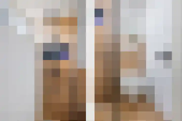 De Sluis 41 Leek thumbnail 5