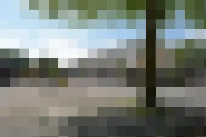 De Sluis 43 Driebergen-Rijsenburg thumbnail 32