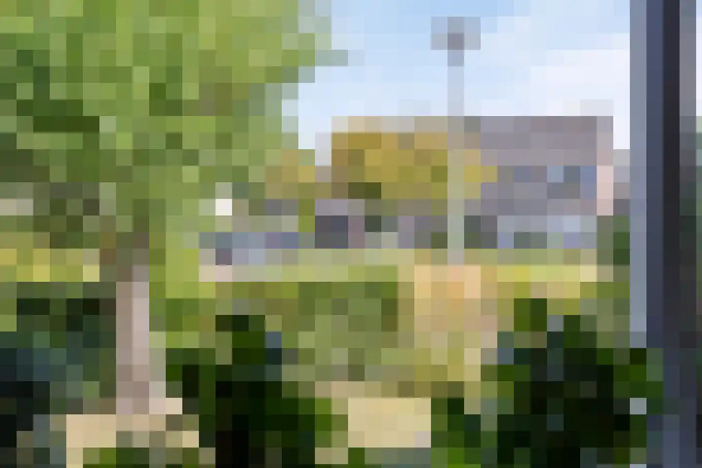 De Sluis 45 Leek thumbnail 12