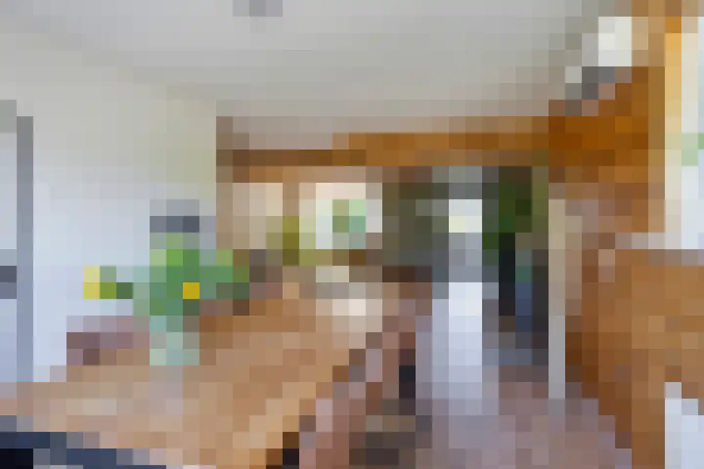De Sluis 45 Leek thumbnail 13