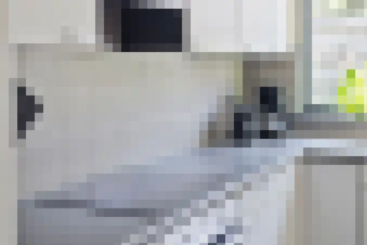 De Sluis 45 Leek thumbnail 15