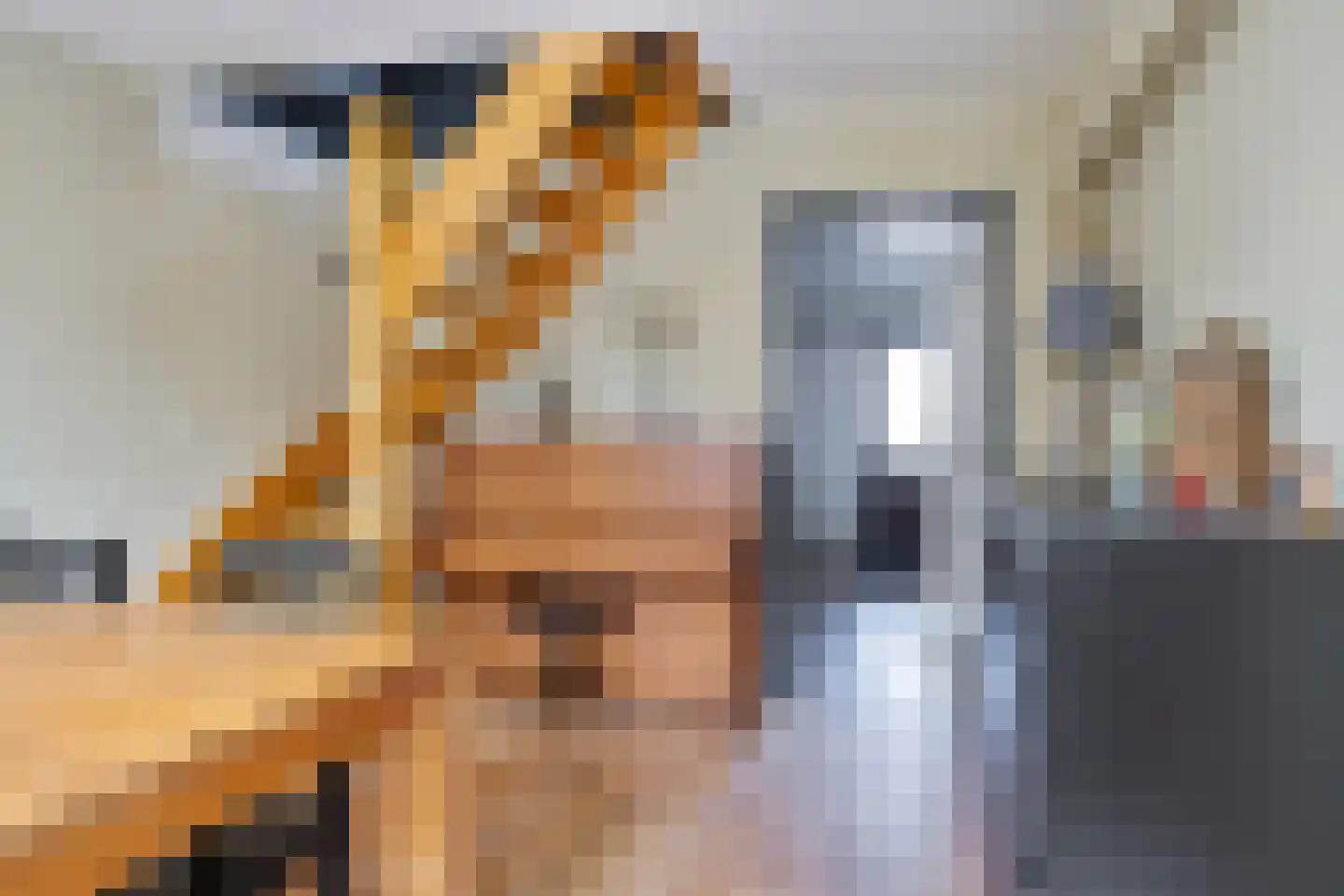 De Sluis 45 Leek thumbnail 18