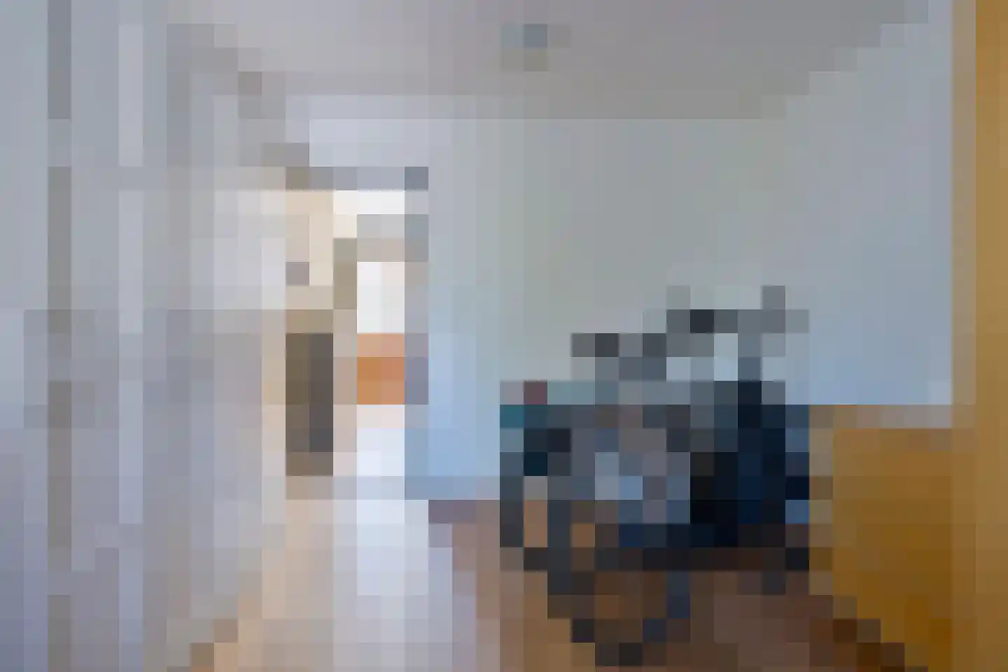 De Sluis 45 Leek thumbnail 20