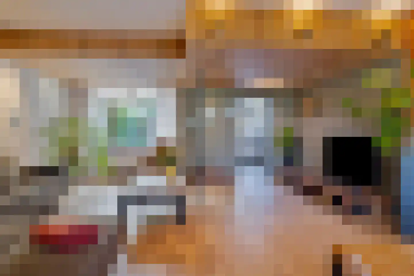 De Sluis 45 Leek thumbnail 4