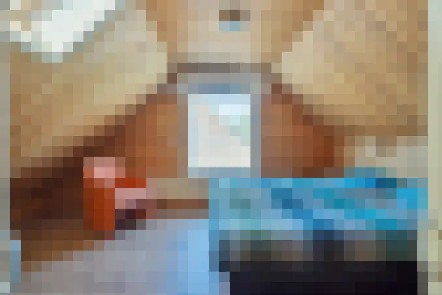 De Sluis 45 Leek thumbnail 40