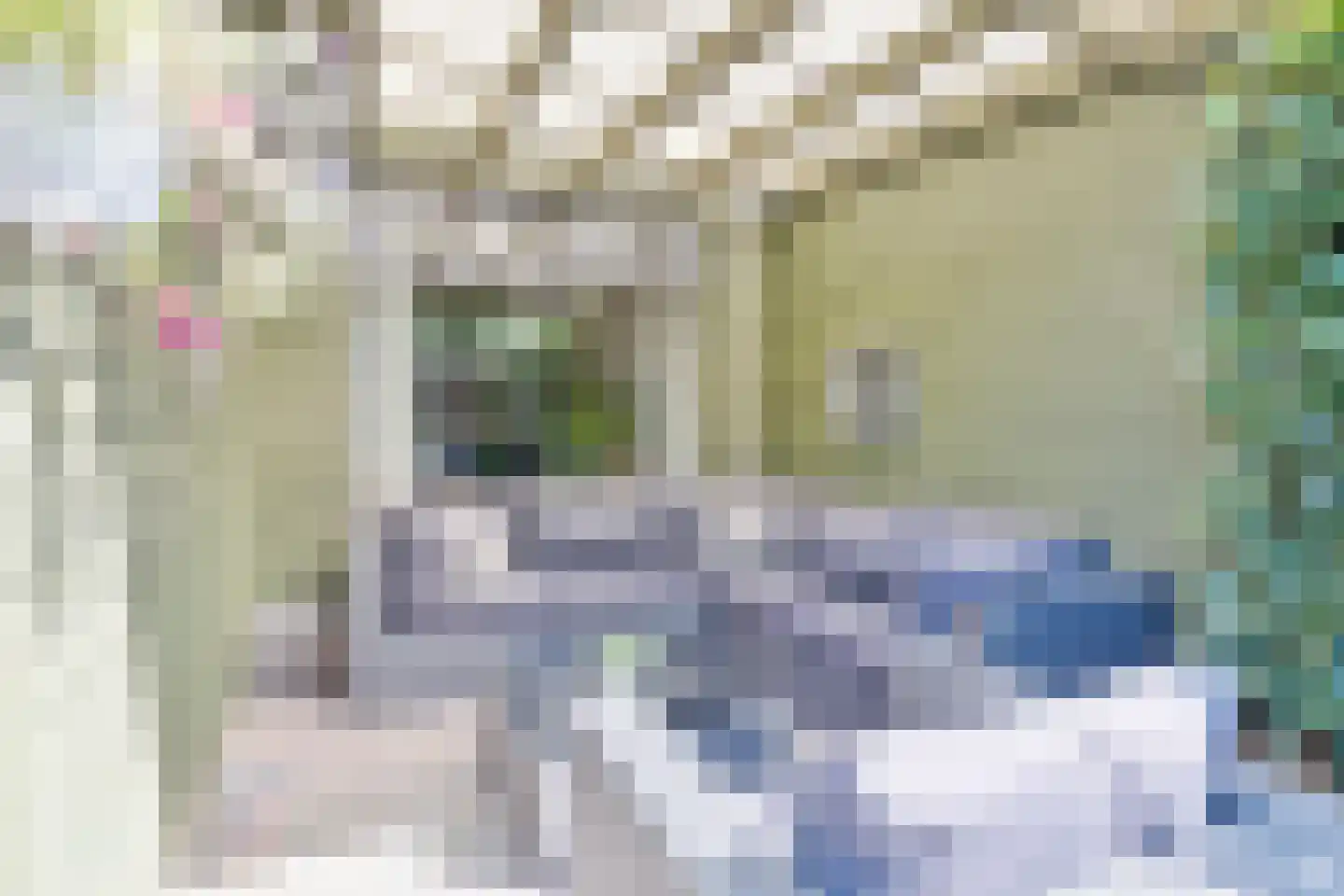 De Sluis 45 Leek thumbnail 43