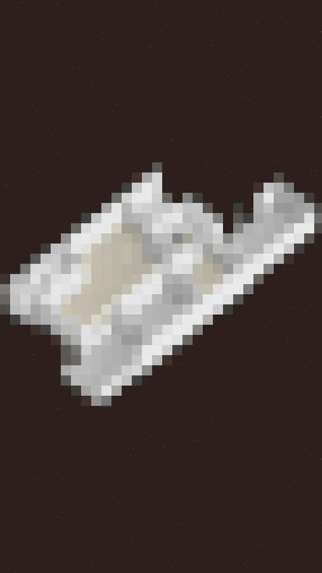 De Sluis 45 Leek thumbnail 57