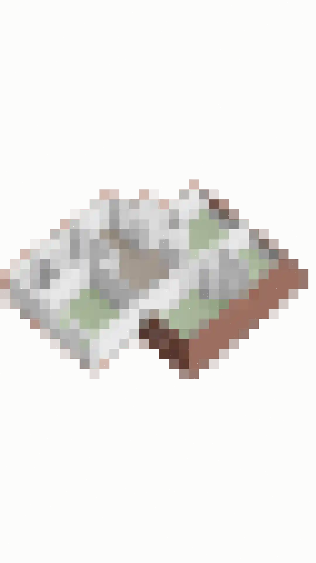 De Sluis 45 Leek thumbnail 58