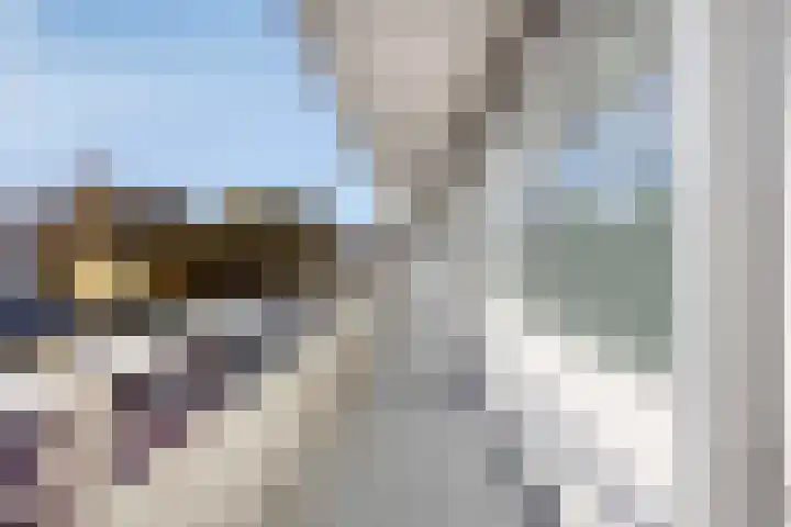 De Sluis 46 Driebergen-Rijsenburg thumbnail 8