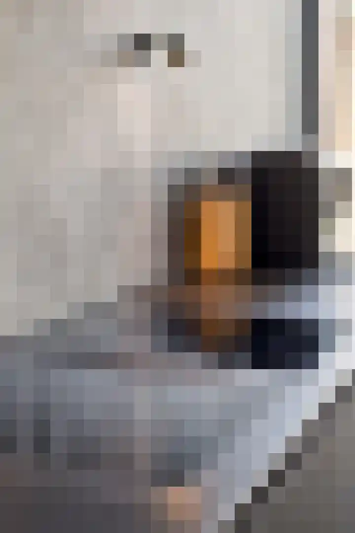 De Sluis 56 Leek thumbnail 12