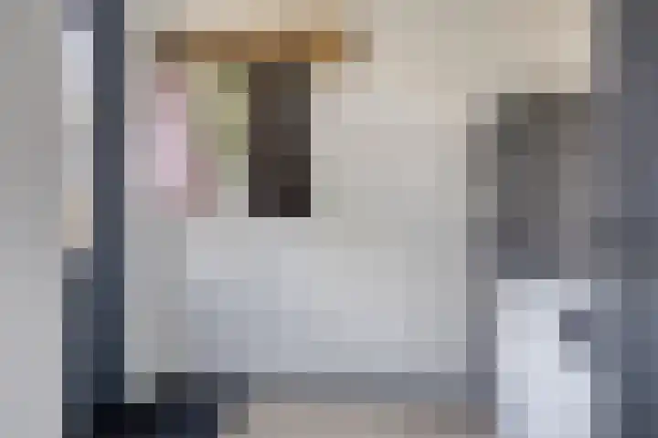 De Sluis 56 Leek thumbnail 14