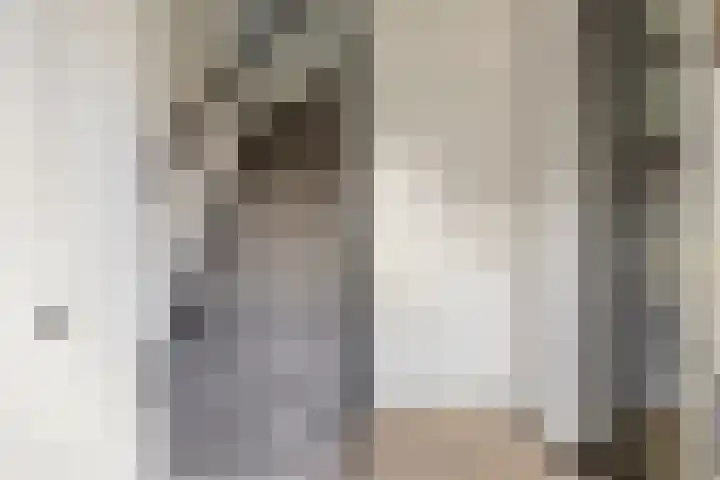 De Sluis 56 Leek thumbnail 15