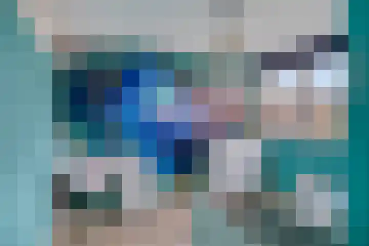 De Sluis 56 Leek thumbnail 18