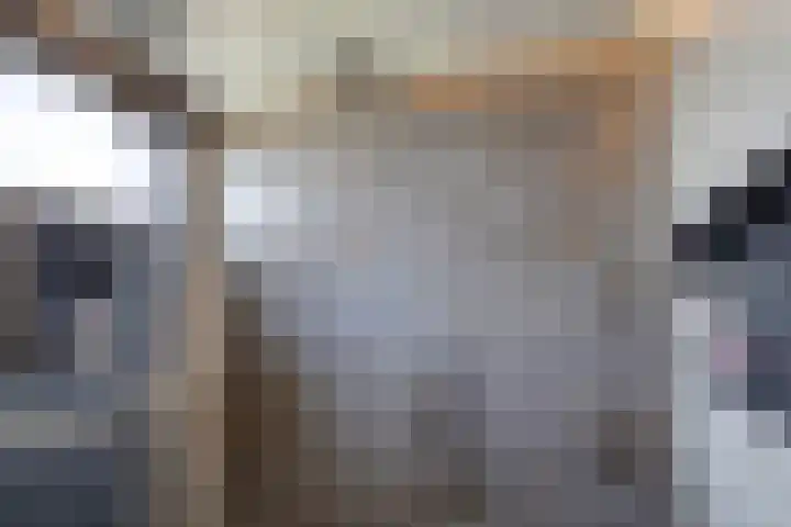 De Sluis 56 Leek thumbnail 21