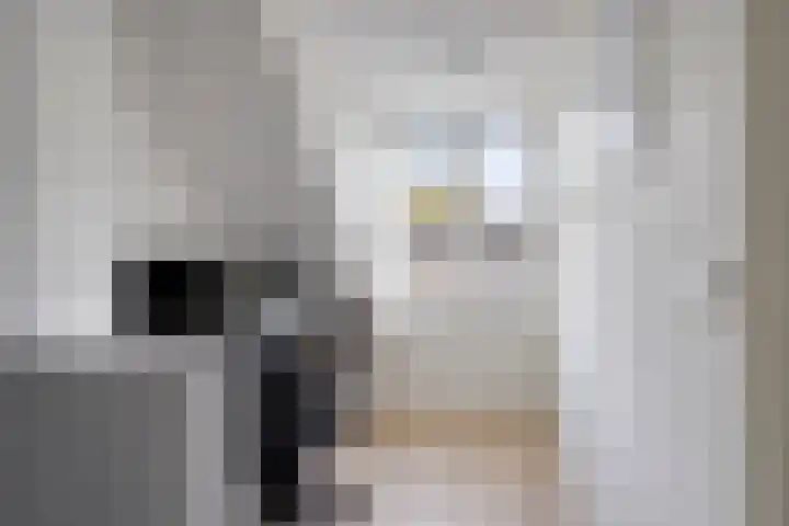 De Sluis 56 Leek thumbnail 26