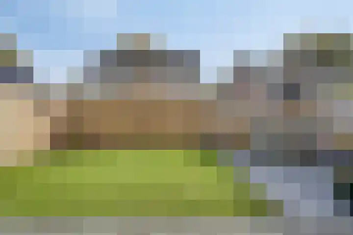 De Sluis 56 Leek thumbnail 30
