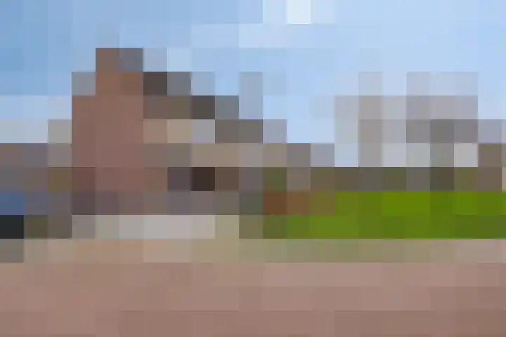 De Sluis 56 Leek thumbnail 32