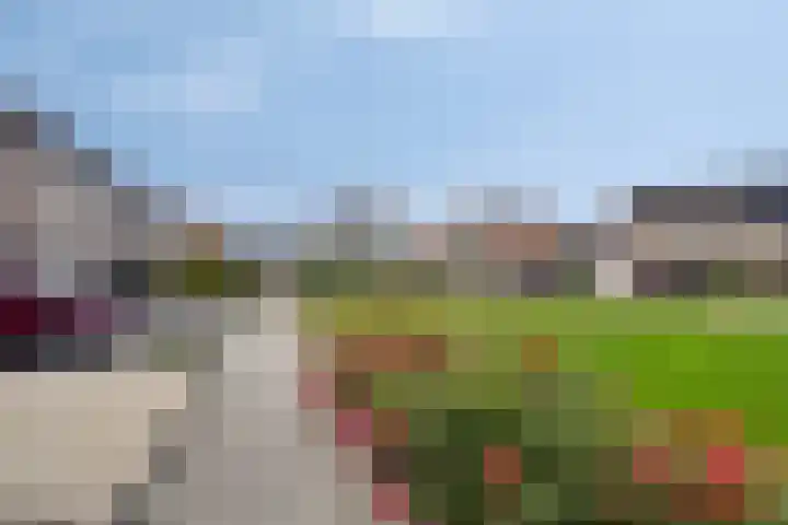De Sluis 56 Leek thumbnail 33