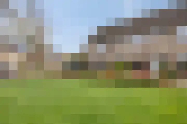 De Sluis 56 Leek thumbnail 35