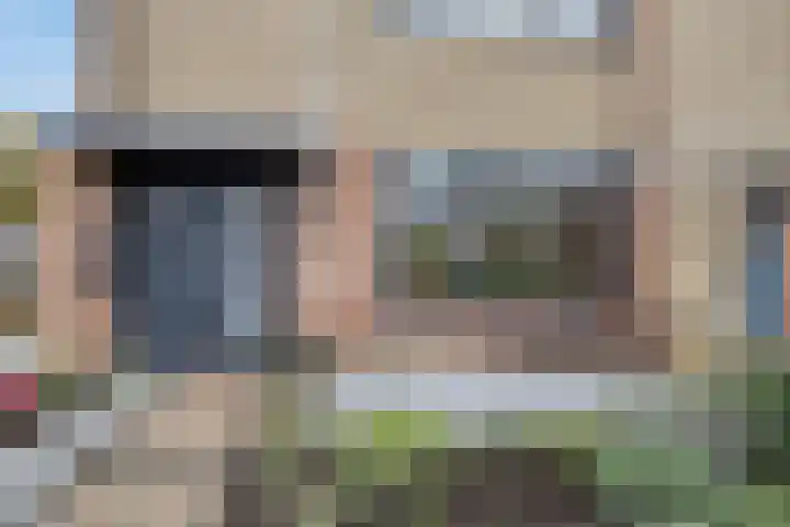 De Sluis 56 Leek thumbnail 36