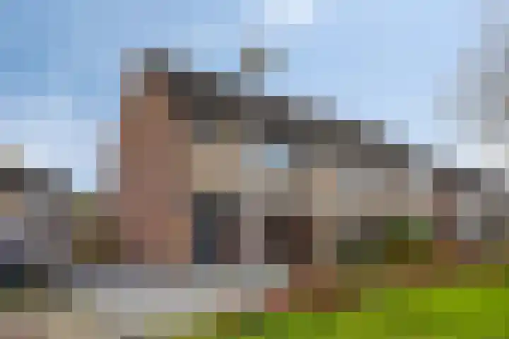 De Sluis 56 Leek thumbnail 37